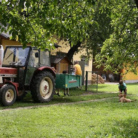 Bauernhof-Pension Puschnikhof Unternarrach Kültér fotó