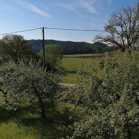Bauernhof-Pension Puschnikhof Unternarrach Kültér fotó