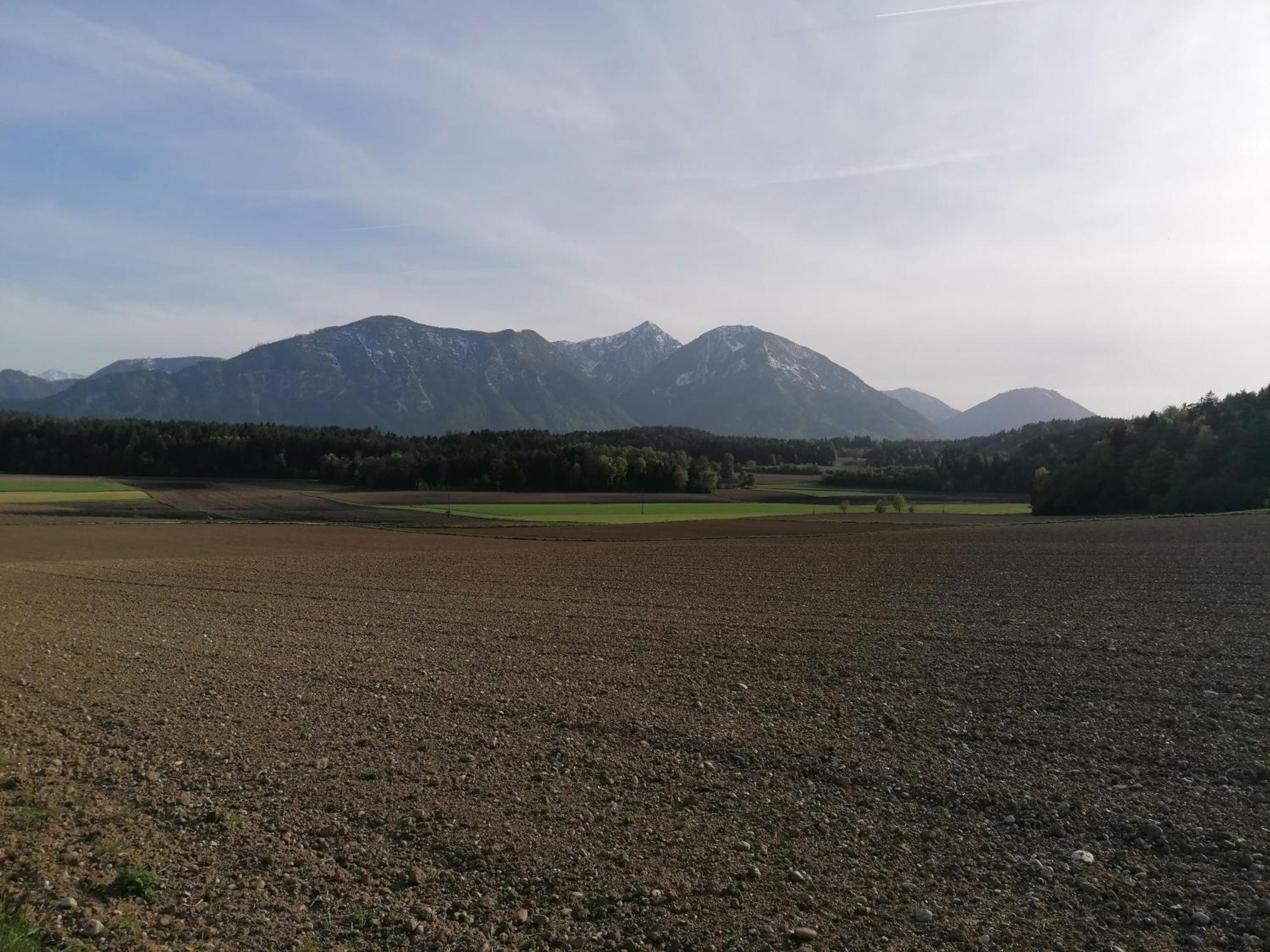 Bauernhof-Pension Puschnikhof Unternarrach Kültér fotó